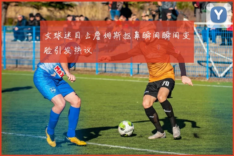 女球迷目击詹姆斯抠鼻瞬间瞬间变脸引发热议